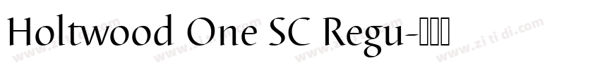 Holtwood One SC Regu字体转换